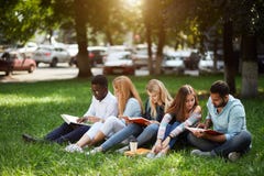 Blandad-lopp grupp av studenter som tillsammans sitter på grön gräsmatta av universitetsområdet royaltyfri foto Blandad-lopp grupp av studenter som tillsammans sitter på grön gräsmatta av universitetsområdet royaltyfri foto