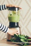 Blandaregr?splansmoothie fotografering för bildbyråer Blandaregr?splansmoothie fotografering för bildbyråer