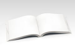 Blank Open White Book