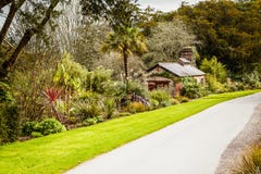 Blarney Castle Gardens stock image Blarney Castle Gardens stock image