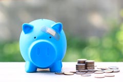 Blaue piggy befestigt zum Gips auf dem natürlichen grünen Hintergrund des Kopfes, sparen Geld für Krankenversicherung und Gesundh lizenzfreie stockfotografie Blaue piggy befestigt zum Gips auf dem natürlichen grünen Hintergrund des Kopfes, sparen Geld für Krankenversicherung und Gesundh lizenzfreie stockfotografie