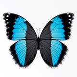 Blaue und schwarze Basisrecheneinheit Stockfotos Blaue und schwarze Basisrecheneinheit Stockfotos