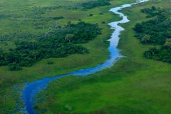 Blauer Vagabund, Luftlandschaft in Okavango-Delta, Botswana Seen und Flüsse, Ansicht vom Flugzeug Grüne Vegetation in Südafrika T lizenzfreie stockfotos Blauer Vagabund, Luftlandschaft in Okavango-Delta, Botswana Seen und Flüsse, Ansicht vom Flugzeug Grüne Vegetation in Südafrika T lizenzfreie stockfotos