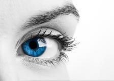 Blaues Auge Blaues Auge