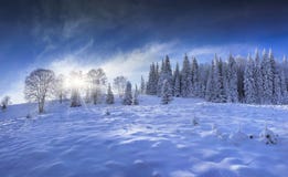Blauw panorama van de winterbos in de bergen Stock Foto Blauw panorama van de winterbos in de bergen Stock Foto