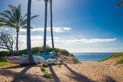 Blauwe kraanbalk op het strand in Kihei, Maui stock foto Blauwe kraanbalk op het strand in Kihei, Maui stock foto