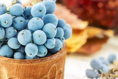 Blauwe verse Mahonia royalty-vrije stock afbeeldingen Blauwe verse Mahonia royalty-vrije stock afbeeldingen