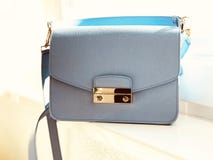 Blauwe vrouwen` s handtas De blauwe beurs van de maniervrouw stock afbeeldingen Blauwe vrouwen` s handtas De blauwe beurs van de maniervrouw stock afbeeldingen