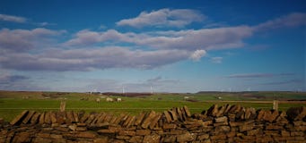 Ble-Himmel und schöne Schafe, die weiden lassen stockfoto Ble-Himmel und schöne Schafe, die weiden lassen stockfoto