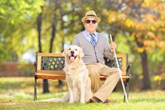Blint gentlemansammanträde för pensionär på en bänk med hans hund, i en medeltal royaltyfria bilder Blint gentlemansammanträde för pensionär på en bänk med hans hund, i en medeltal royaltyfria bilder