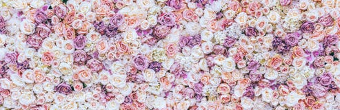 Bloeit muurachtergrond met verbazende rode en witte rozen, Huwelijksdecoratie, gemaakte hand - stock foto's Bloeit muurachtergrond met verbazende rode en witte rozen, Huwelijksdecoratie, gemaakte hand - stock foto's