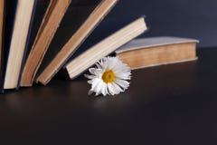 Bloem en boek op Desktop stock afbeelding Bloem en boek op Desktop stock afbeelding