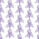 Bloem Iris Pattern Blue vector illustratie Bloem Iris Pattern Blue vector illustratie