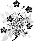 Bloemen elementen voor ontwerp, vector illustratie Bloemen elementen voor ontwerp, vector illustratie