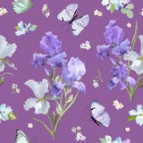 Bloemen Naadloos Patroon met het Purpere Bloeien Iris Flowers en Vliegende Vlinders De Achtergrond van de waterverfaard voor Stof vector illustratie Bloemen Naadloos Patroon met het Purpere Bloeien Iris Flowers en Vliegende Vlinders De Achtergrond van de waterverfaard voor Stof vector illustratie