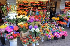 Bloemen op vertoning bij bloemwinkel Stock Afbeelding Bloemen op vertoning bij bloemwinkel Stock Afbeelding