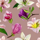 blom- modell för tapet eller tyg Sömlös modell med vårblommor magnolia och lilja Målarfärg för akvarellillustrationhand royaltyfri illustrationer blom- modell för tapet eller tyg Sömlös modell med vårblommor magnolia och lilja Målarfärg för akvarellillustrationhand royaltyfri illustrationer