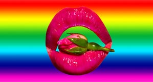 Blomma i munnen Blommor för lesbiska kvinnor på bakgrunden av lgbtflaggan Romans av valentin dag h?rligt steg royaltyfria bilder Blomma i munnen Blommor för lesbiska kvinnor på bakgrunden av lgbtflaggan Romans av valentin dag h?rligt steg royaltyfria bilder