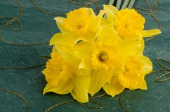 blommar jonquil arkivbild blommar jonquil arkivbild