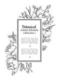 Blommatappninggräns Vektorpion och botanisk teckning för rosor vektor illustrationer Blommatappninggräns Vektorpion och botanisk teckning för rosor vektor illustrationer