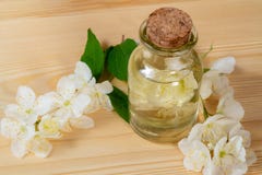 Blommor av philadelphusen någonstans kallade jasmin eller den falska apelsinen och en flaska av olja på en trätabell royaltyfria bilder Blommor av philadelphusen någonstans kallade jasmin eller den falska apelsinen och en flaska av olja på en trätabell royaltyfria bilder