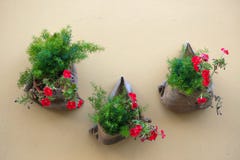 Blommor i blomkrukor på gatan i Italien arkivbild Blommor i blomkrukor på gatan i Italien arkivbild