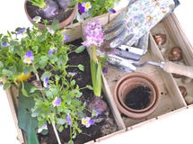 Blommor och arbeta i trädgårdenutrustning i en asknolla royaltyfria bilder Blommor och arbeta i trädgårdenutrustning i en asknolla royaltyfria bilder