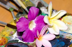Blommor och paletter fotografering för bildbyråer Blommor och paletter fotografering för bildbyråer