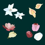 blommor som ställs in fjäder royaltyfri illustrationer blommor som ställs in fjäder royaltyfri illustrationer