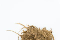 Curly Brown And Blond Hair Isolated On White Copy Space Stock