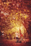 Blonde Schönheit auf einem Weinlesefahrrad stockfotos Blonde Schönheit auf einem Weinlesefahrrad stockfotos