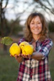 Blonde woman with three quinces in her hand. royalty free stock photography Blonde woman with three quinces in her hand. royalty free stock photography