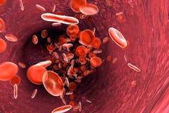 Blood cells
