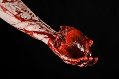 Blood and Halloween theme: terrible bloody hand hold torn bleeding human heart isolated on black background in studio royalty free stock images Blood and Halloween theme: terrible bloody hand hold torn bleeding human heart isolated on black background in studio royalty free stock images