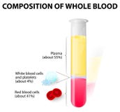 Blood plasma and formed elements in Test tube stock illustration Blood plasma and formed elements in Test tube stock illustration