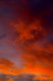 Bloody Winter Sunset Stock Photos Bloody Winter Sunset Stock Photos