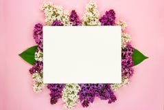 Blossom Syringa vulgaris in Lilac flower and blank paper card for text message.Top view. Romantic flowers composition stock image Blossom Syringa vulgaris in Lilac flower and blank paper card for text message.Top view. Romantic flowers composition stock image