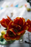 Blossoming red tulips on a white wooden background stock photos Blossoming red tulips on a white wooden background stock photos