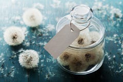 Blowball or dandelion in wishing jar with paper tag, rustic teal background, make a wish concept, unusual gift or present stock photography Blowball or dandelion in wishing jar with paper tag, rustic teal background, make a wish concept, unusual gift or present stock photography