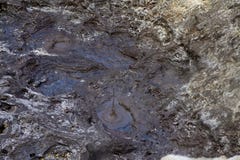 Blub в отверстии грязи, горячей неустойчивой земле vulcano стоковое фото rf Blub в отверстии грязи, горячей неустойчивой земле vulcano стоковое фото rf
