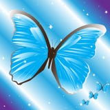 Blue Butterfly Royalty Free Stock Images