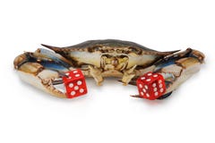Blue Crab With Red Dice Stock Image