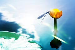 A blue dragonfly on a yellow water lily against the background of a watery surface. Artistic image. Royalty Free Stock Image A blue dragonfly on a yellow water lily against the background of a watery surface. Artistic image. Royalty Free Stock Image