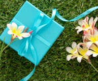 Blue gift box with a bow and flowers. Royalty Free Stock Images Blue gift box with a bow and flowers. Royalty Free Stock Images