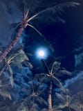 Blue Moon over Waikiki, Hawaï stock afbeelding Blue Moon over Waikiki, Hawaï stock afbeelding