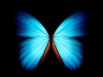 Blue Morpho - Abstract Royalty Free Stock Photography