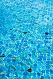 Blue Pool Background Stock Photography