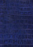 Blue Reptile Leather Imitation Texture Royalty Free Stock Images