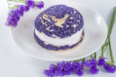 Blueberry cake shu decorated with purple flowers of statice royalty free stock photography Blueberry cake shu decorated with purple flowers of statice royalty free stock photography