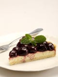 Blueberry Cheese Cake Blueberry Cheese Cake